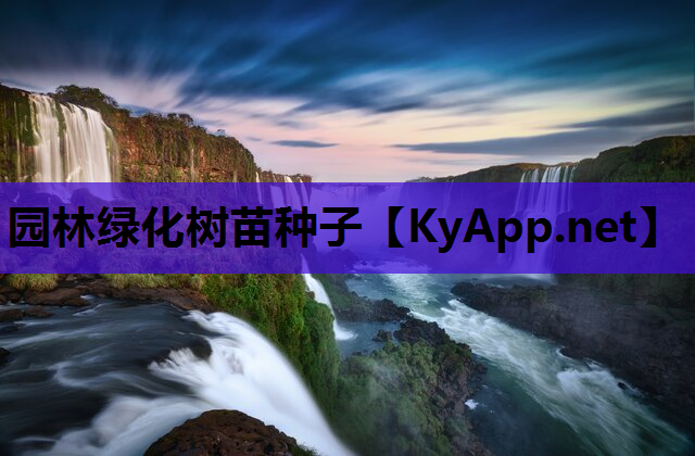 园林绿化树苗种子