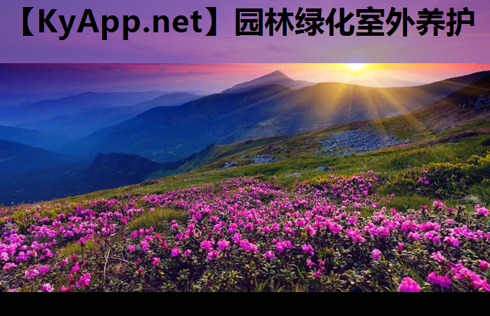 园林绿化室外养护