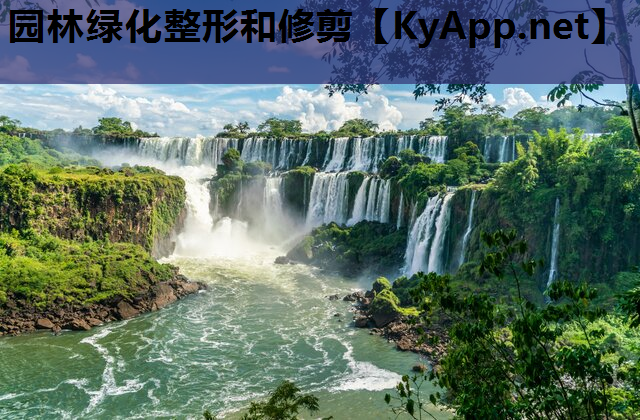 园林绿化整形和修剪