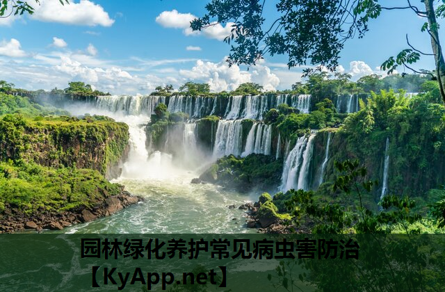 园林绿化养护常见病虫害防治