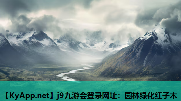 园林绿化红子木