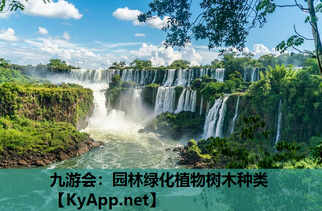 园林绿化植物树木种类