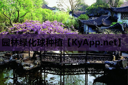 园林绿化球种植
