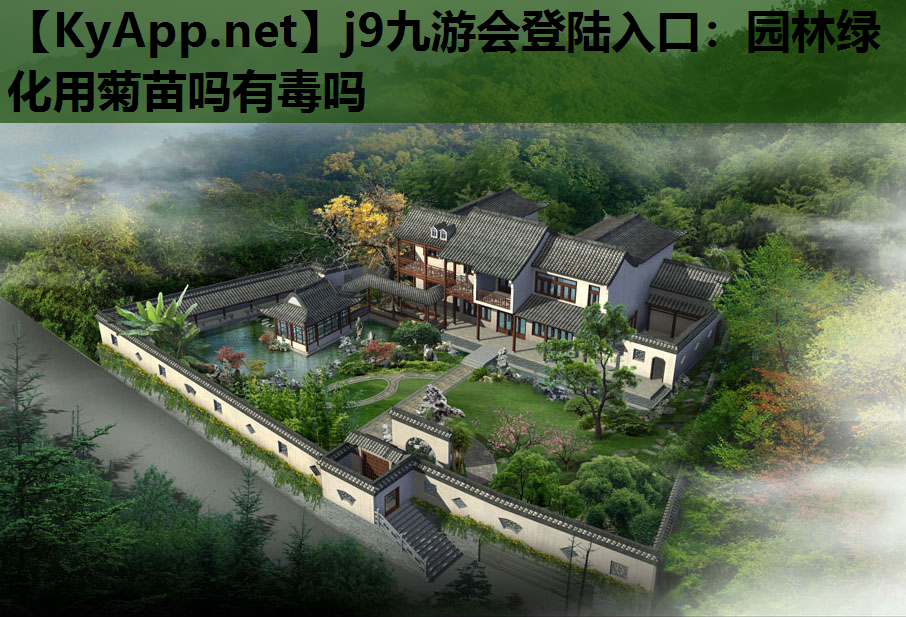 园林绿化用菊苗吗有毒吗