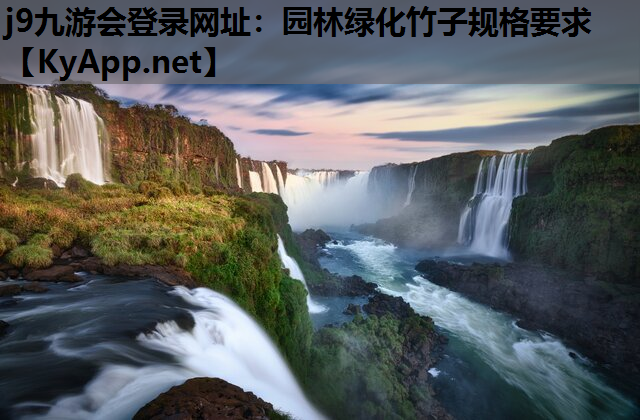 园林绿化竹子规格要求