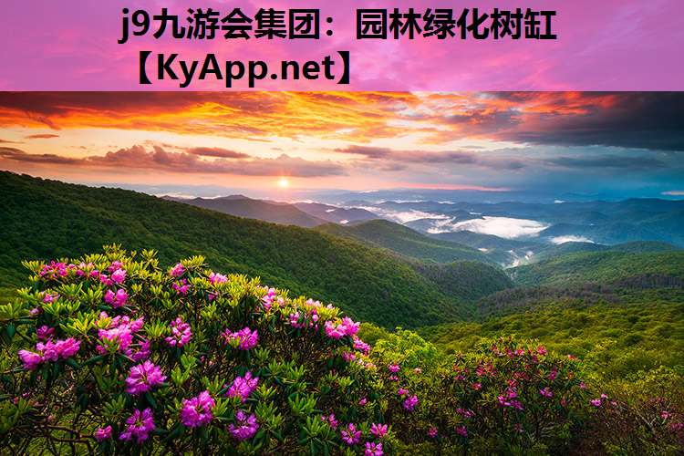 园林绿化树缸