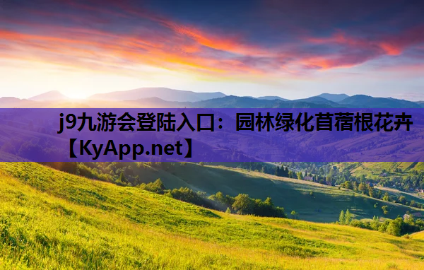 园林绿化苜蓿根花卉