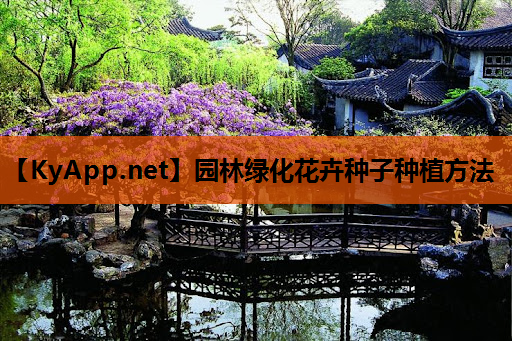 园林绿化花卉种子种植方法