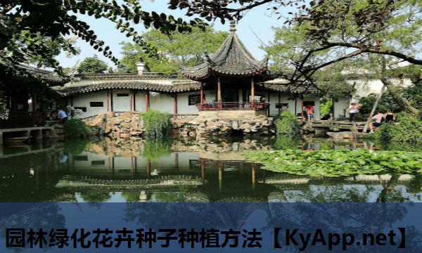 园林绿化花卉种子种植方法