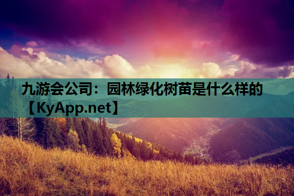 园林绿化树苗是什么样的