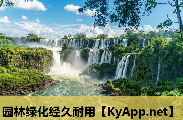 园林绿化经久耐用