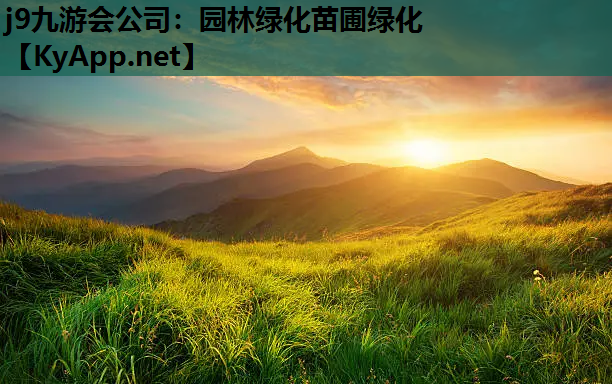 园林绿化苗圃绿化