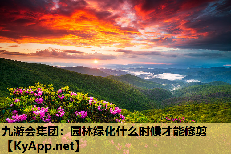 园林绿化什么时候才能修剪