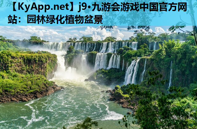 园林绿化植物盆景