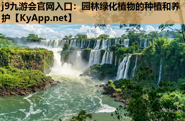 园林绿化植物的种植和养护