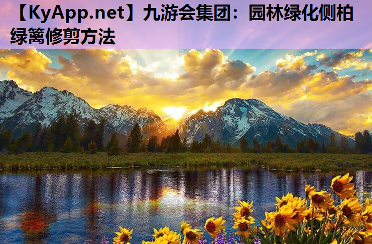 园林绿化侧柏绿篱修剪方法