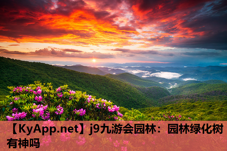 园林绿化树有神吗