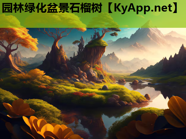 园林绿化盆景石榴树