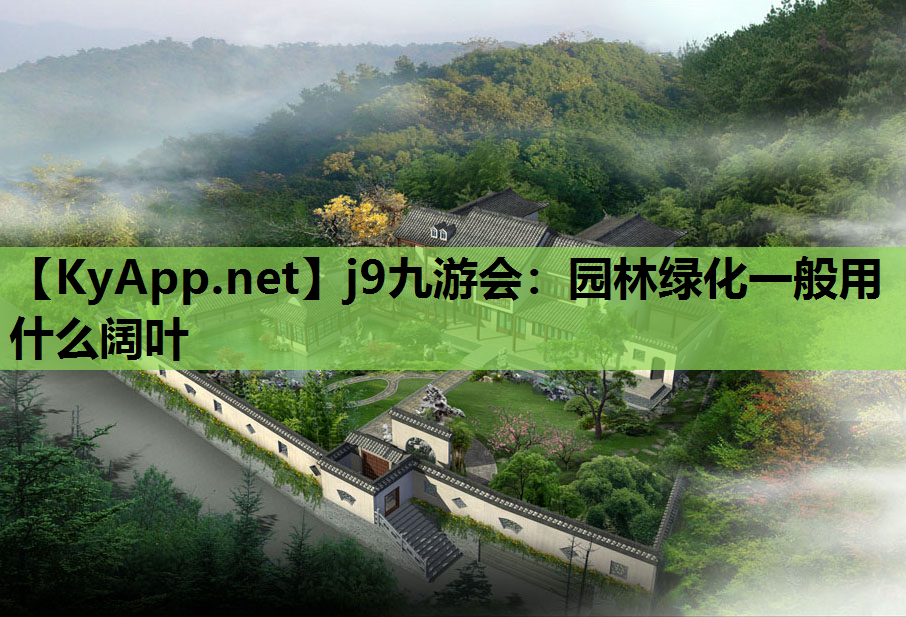 园林绿化一般用什么阔叶