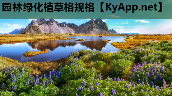 园林绿化植草格规格