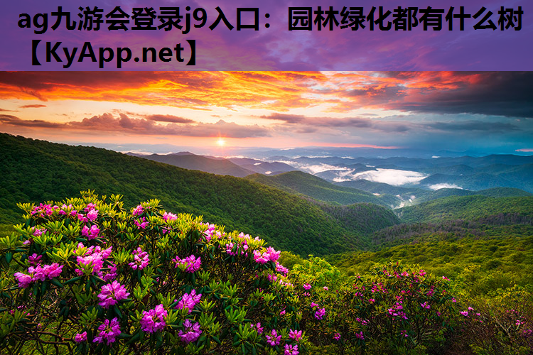 园林绿化都有什么树